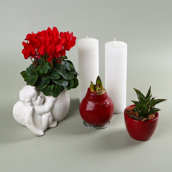 Set with “Cupid” Planter