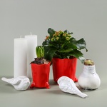 Set with Kalanchoe and Hyacinth in Planters