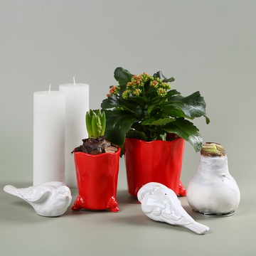 Набор с каланхоэ и гиацинтом в кашпо