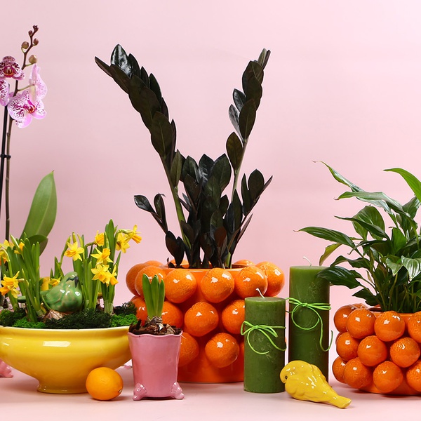 The “Warm Rhythm of Home” windowsill set