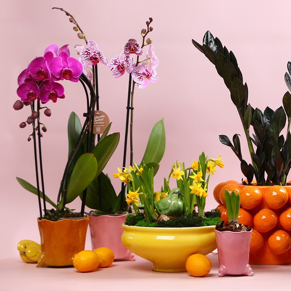 The “Warm Rhythm of Home” windowsill set