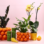 The “Warm Rhythm of Home” windowsill set