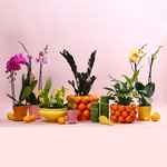 The “Warm Rhythm of Home” windowsill set