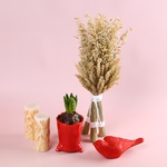 Set “Symbols of Warmth”