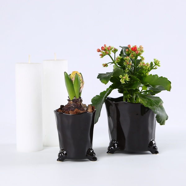 Set “Black Classic”