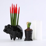 Set “Bold Black”