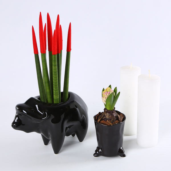 Set “Bold Black”