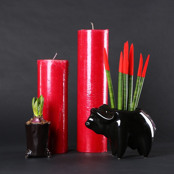 Набор «Сила красного»