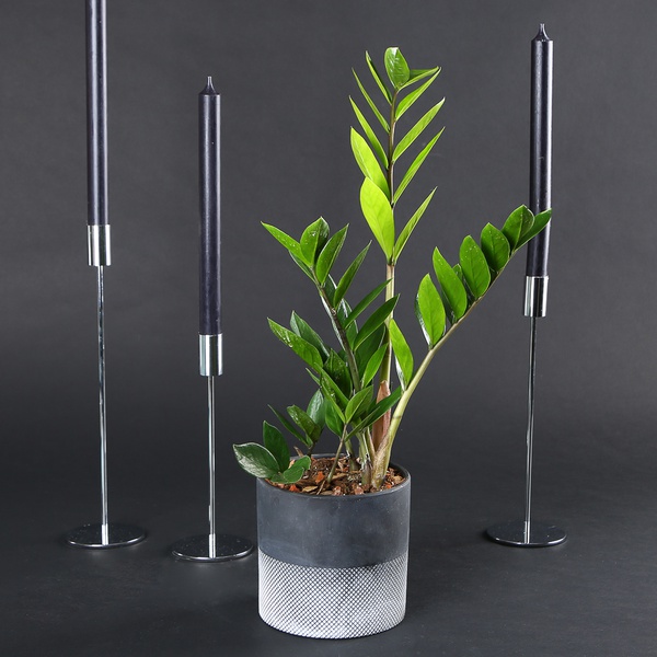 Набір «Смарагдовий мінімалізм»