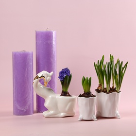 The “Lavender Spring Story” set