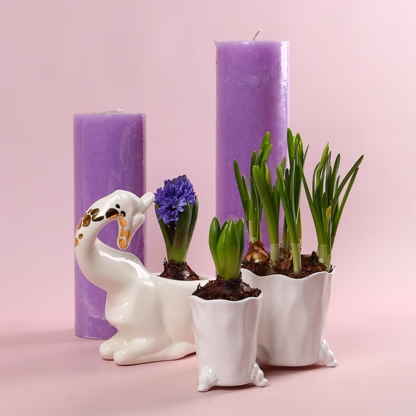 The “Lavender Spring Story” set