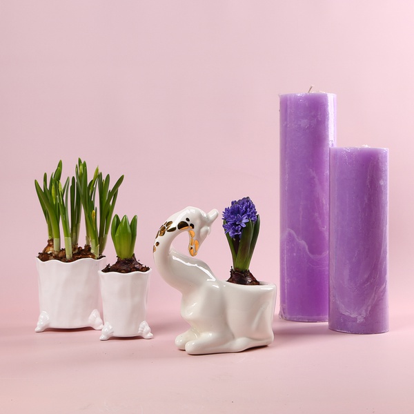 The “Lavender Spring Story” set