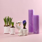 The “Lavender Spring Story” set