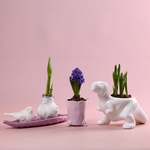 The “Spring Fantasy” set