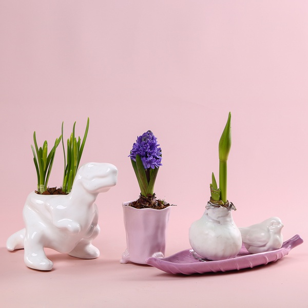 The “Spring Fantasy” set