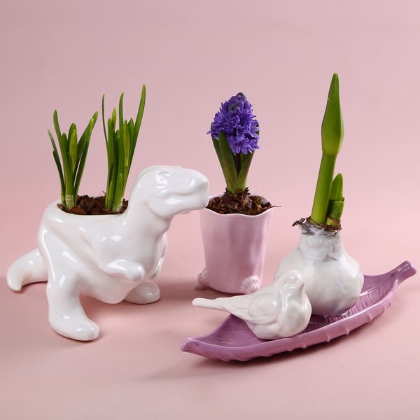 The “Spring Fantasy” set