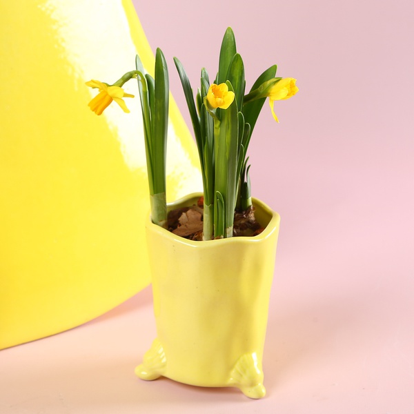 Набор "Солнечное настроение дома"