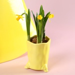 Набор "Солнечное настроение дома"