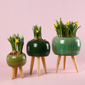 The "Green Cozy Accent" set