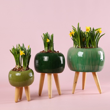 Набір "Зелений акцент затишку"