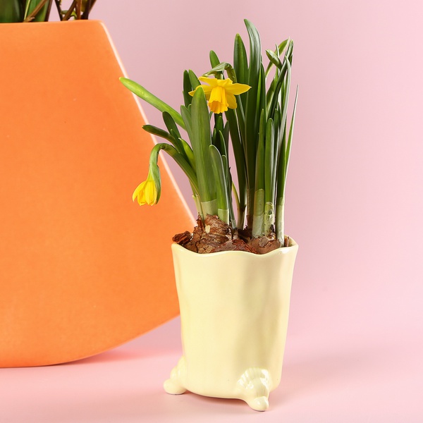 Набор «Весенний дуэт»