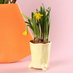 Набор «Весенний дуэт»