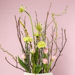 The “Spring Harmony” set