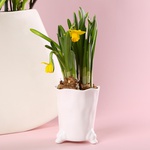 The “Spring Harmony” set