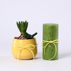 Живий мінімалізм