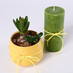 Живий мінімалізм