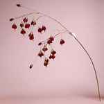 Ветвь красных цветов