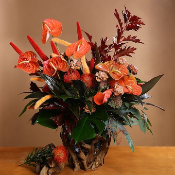 Floral Interior composition with anthurium