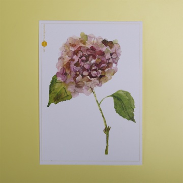 Postcard "Hydrangea" large
