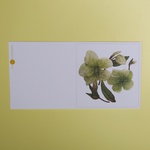 Postcard "Heleborus" small