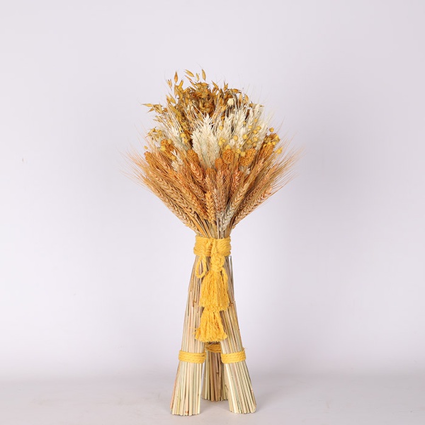 Дідух Сонячний