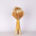 Дідух Сонячний