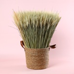 Декор в аренду «Пшеничное поле»