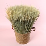 Декор в аренду «Пшеничное поле»