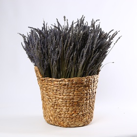 The “Lavender Comfort” décor rental