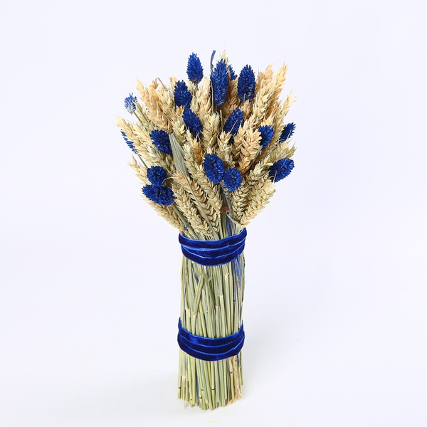 The stylish “Blue Accent” sheaf