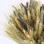 The elegant “Provence Mood” sheaf