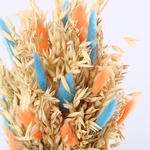 Didukh Easter orange