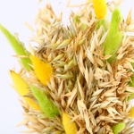 Дидух  Пасхальный с жёлтым лагурусом