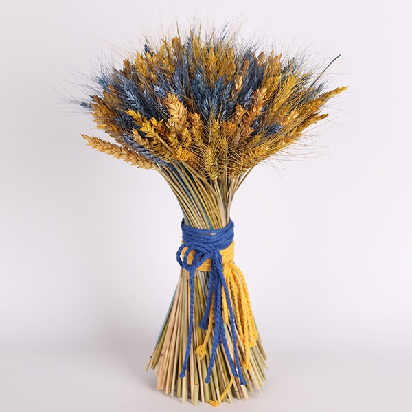 Yellow-blue bouquet of dried flowers