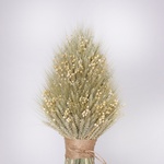 The “Elegant Harvest” didukh