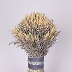 The “Silver Haven” didukh