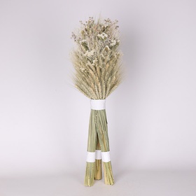 The “Bright Guardian” Didukh