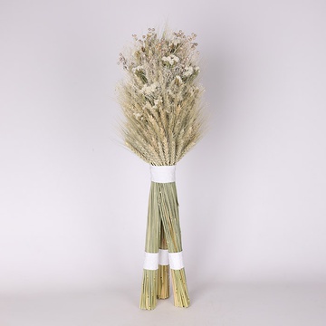 Дідух «Світлий Оберіг»