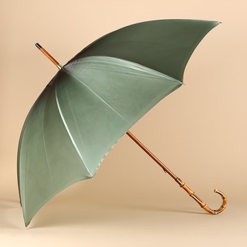 Зонт Pasotti оливковый с принтом
