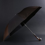 Umbrella Pasotti brown with boxer handle